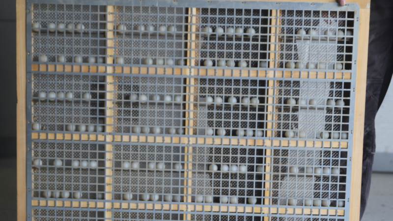 Soldene er lette at skifte. Ifølge Jesper Koldsø skiftes de på fem minutter, hvilket gør, at man får det gjort og dermed får sat de sold i, der passer til den enkelte afgrøde. 