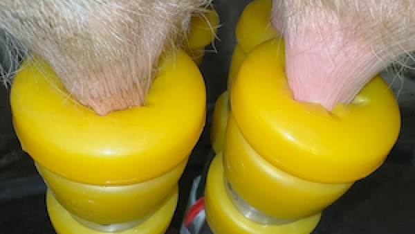 Stimulor StressLess har et bølgeformet design, som gør, at pattekoppen kan tilpasse sig patternes størrelse. Foto: Siliconform