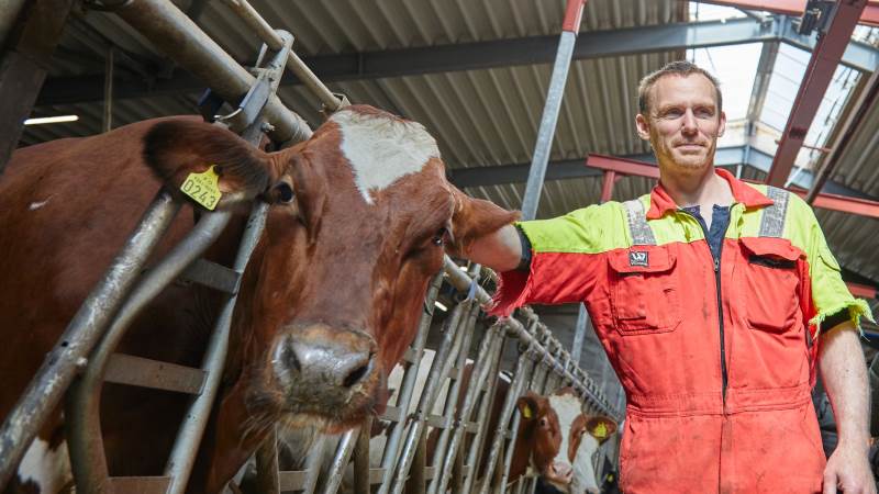 Roi Absalonsen har den mest moderne kostald på Færøerne, og køreturen op til det nordøstlige hjørne af øerne er en stor naturoplevelse.