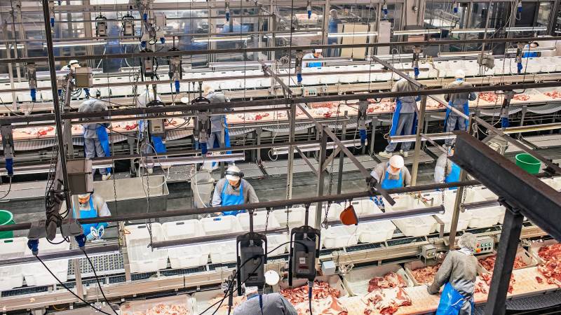 Danish Crown vil opføre en ny baconfabrik i England til 850 millioner kroner. Fabrikken skal forsynes med danske grise og levere større værdi, når man får mere kontrol over værdikæden til Storbritannien. Arkivfoto