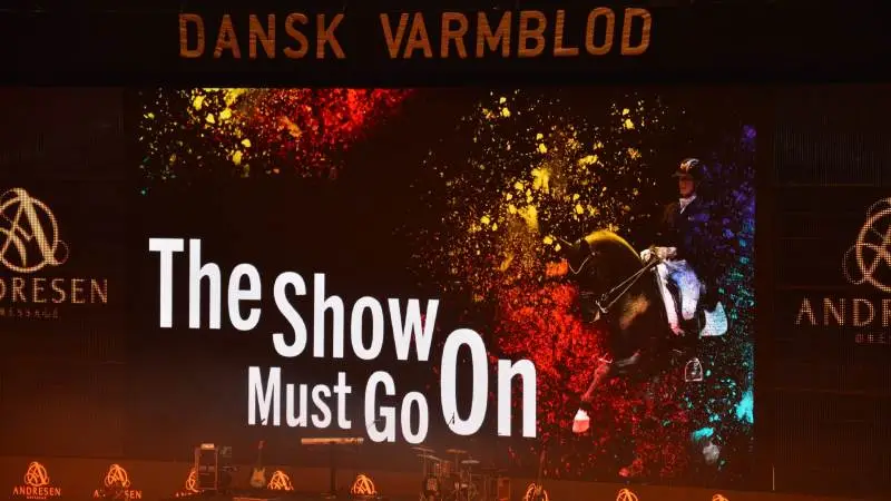 Dansk Varmblods Hingstekåring 2023 finder sted fra den 8.-12. marts. Arkivfotos: Camilla Bønløkke