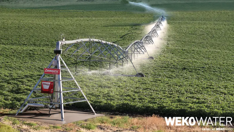 WekoAgro har sikret sig forhandlingen af Zimmatic pivotvanding fra amerikanske Lindsay Corporation. Foto: WekoAgro