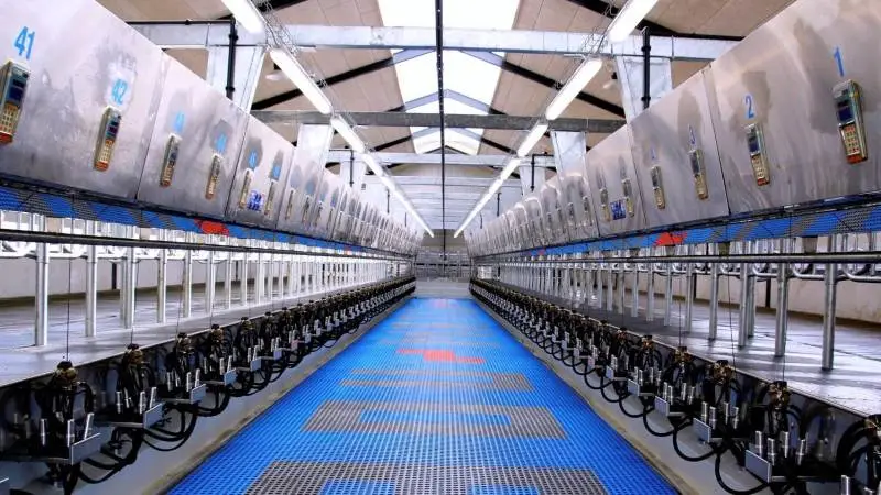 Et er, at godt lys i stalden giver bedre arbejdsbetingelser, men noget andet er, at et skift til LED-lys giver store besparelser på både bundlinjen og i CO2-regnskabet. Arkivfoto