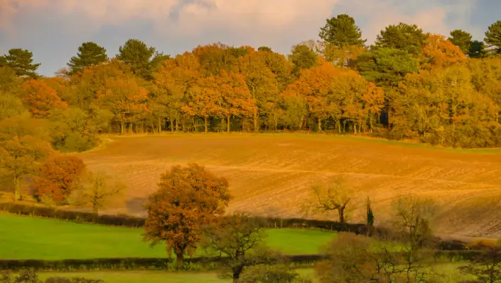 Ny forskning viser, at landmænd ikke kun er villige til at afsætte dele af deres jord til naturen, men at det vil koste mindre end nuværende praksis at tilskynde dem til at gøre det. Foto: British Ecological Society