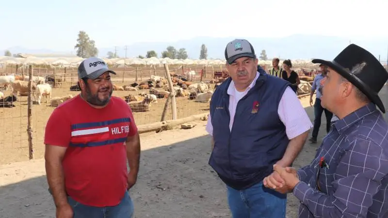 Ejeren af Los Toritos-farmen (tv) med kødkvæget i baggrunden diskuterer den seneste prisudvikling med hans to nabo-farmere. Fotos: Jørgen P. Jensen