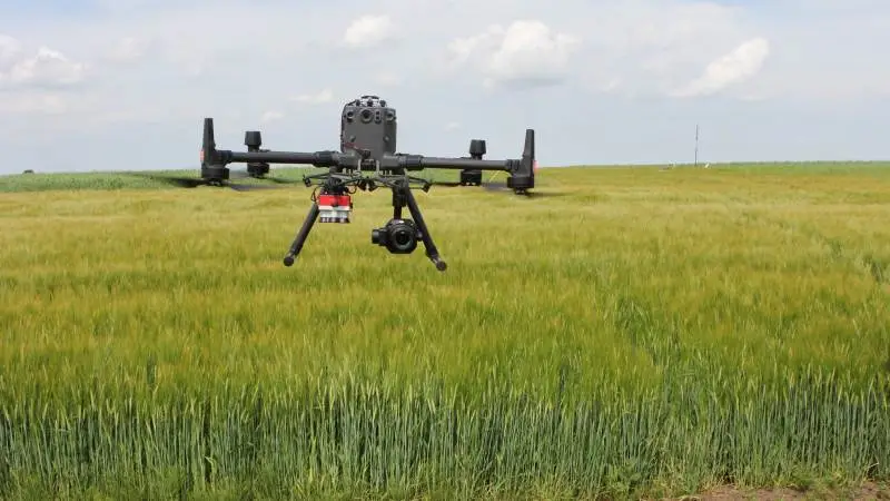 Akson Robotics har udviklet et dronesystem, som ved autonomt overflyvning af græs- og kløvermarker kan genkende og kortlægge skræppe, således det kan bekæmpes med præcisionssprøjning. Arkivfoto: Kasper Stougård