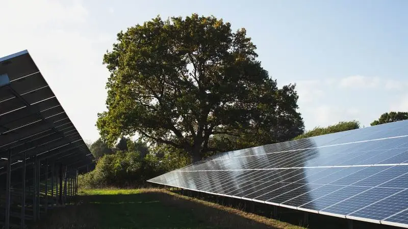Solcelleparkerne skal opføres i Danmark, Polen og Sverige. Foto: Better Energy