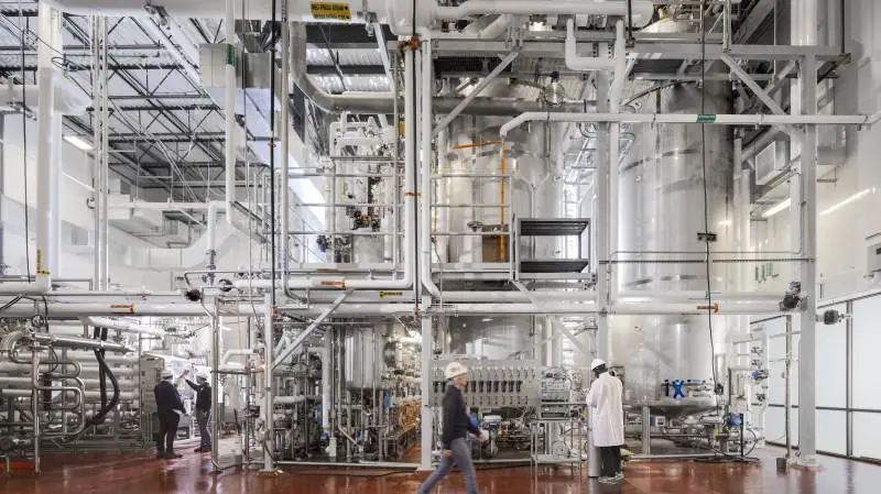 Her ses gæringsområdet på Meati Foods nye »Mega Ranch«-anlæg. Foto: Meati Foods