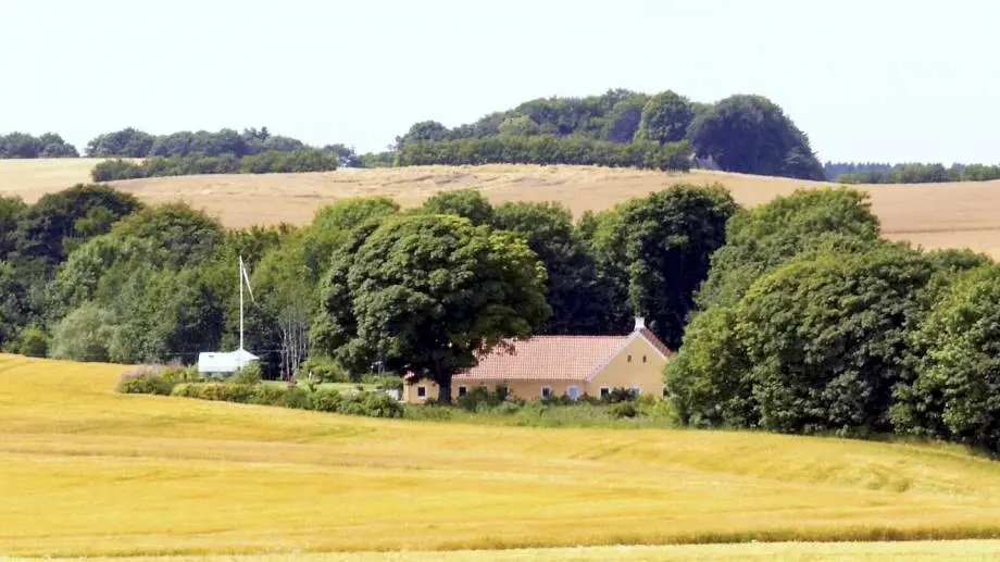 Antallet af nedlagte landbrug er faldet med knap 22 procent i Syddanmark. Arkivfoto