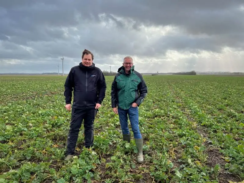 Peter Hvid, produktkonsulent fra Corteva (tv.), og Peter Poulsen fra Kærgården & Bækskovgård Landbrug i Ørsted på Djursland i rapsmarken, hvor hvert andet sprøjtespor er behandlet med biostimulanten BlueN. Foto: Kasper Stougård