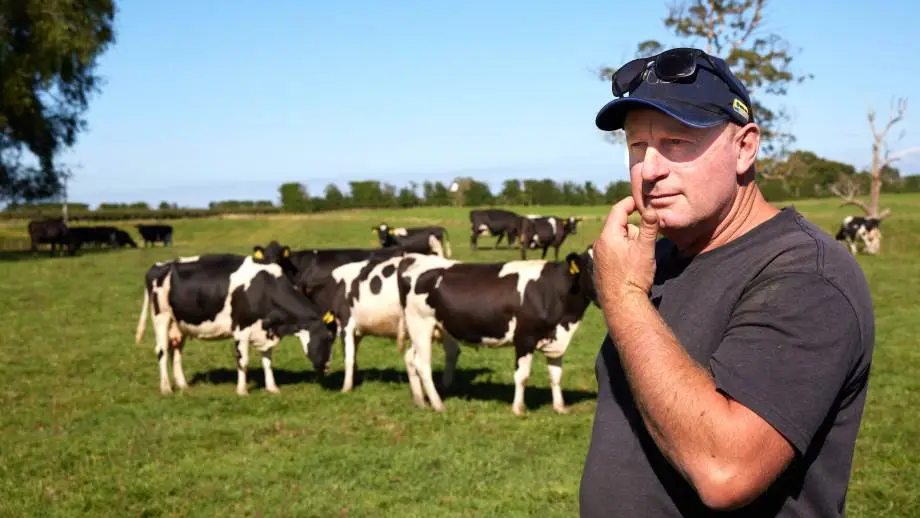 John Hayward er mælkeproducent på Nordøen og er gået over til at levere konsummælk. Derfor solgte han for et par år siden sin jerseybesætning til fordel for stor race – og begyndte at malke om vinteren i stedet for om sommeren, som de fleste gør.