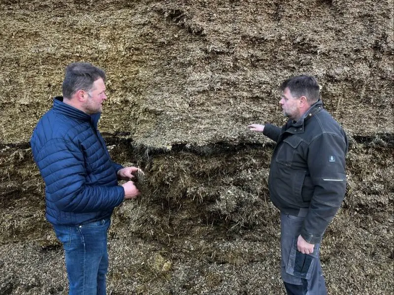 For Edwin Veerbeek (til venstre) har lejet sine 80 hektar ud til Carl Johan Schultz (til højre). Der ligger et stort stykke arbejde bag aftalen, som skal være til gavn for både mælkeproducenten og planteavleren. Foto: Kasper Stougård
