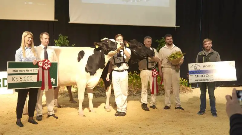 Familien Therkildsen fra Raunhøj Dairy i Hjortshøj ved Aarhus vandt Miss Agro Nord. Det blev belønnet med 5.000 kroner fra DLG. Årets reserve champion gik til Skovgård ved Them, som modtog 3.000 kroner fra Sørens Klovpleje. Foto: Tenna Bang