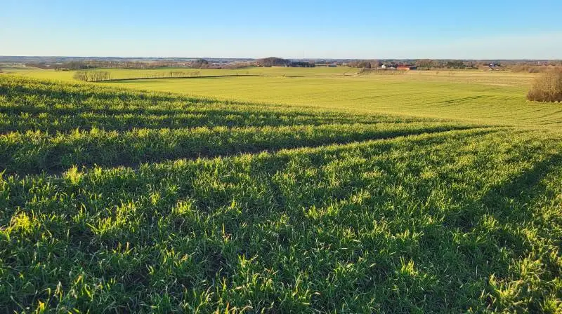 Det er nu man bør have et overblik over gødningsplanen. Foto: Jakob T. Nikolajsen, Fjordland
