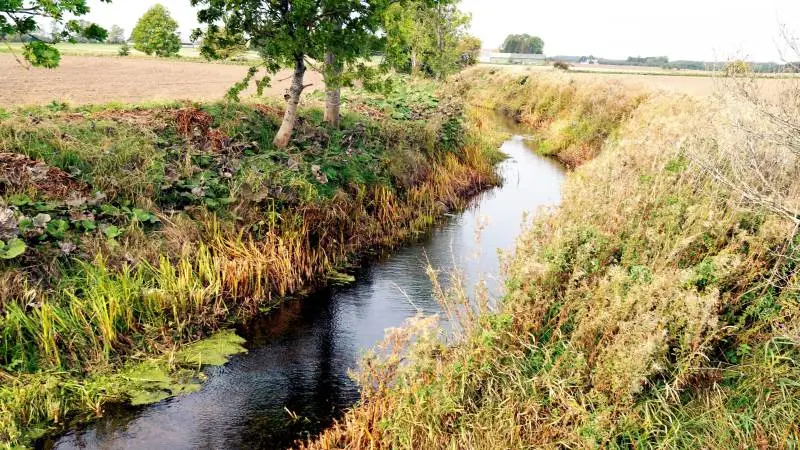Aktuel planteproduktion og også vand- og naturområdet er i fokus, når ledelsen for Landbrug & Fødevarer Planteproduktion kommer til regionsmøde i Vissenbjerg på næste torsdag aften.