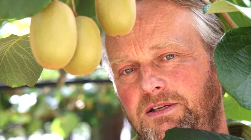 Gawin Fleming har meget stor viden om dyrkning, kvalitetsvurdering og afsætning af kiwifrugter via sit job i Kiwifruit Country. Fotos: Niels Damsgaard Hansen