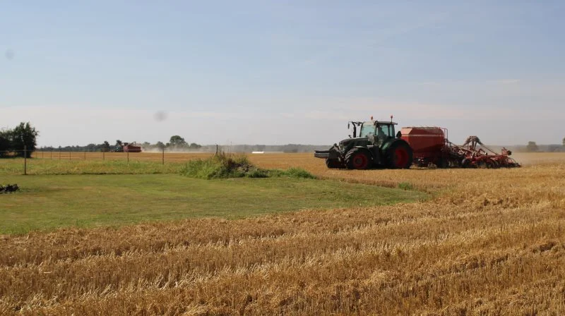 Bæredygtigt Landbrugs store gødnings- og vandplanssag, der var for Vestre Landsret lige før påske, angår blandt andet spørgsmålet om, hvorvidt de målrettede efterafgrøder er lovlige og gyldige. Arkivfoto