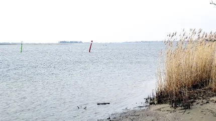 De nye vandplaner indeholder indsatser, der nedbringer udledningen af kvælstof med 10.400 tons årligt. Arkivfoto: Jesper Hallgren