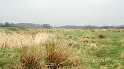 Det undrer ikke Hans Sønderby, at det nu er kommet frem, efter en vurdering fra Kammeradvokaten, at hundredvis af danske landmænd skal betale støtte tilbage til Miljøstyrelsen for udtagning af lavbundsjord. Arkivfoto