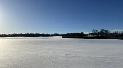 Når sneen er smeltet og det begynder at dufte af forår, er det nødvendigt at være grundig i sin gennemgang af markerne og vurdere, hvor der skal sås om, og hvordan ukrudtsbekæmpelsen skal gribes an. Foto: Kasper Stougård 