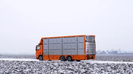 Mange ulykker sker på de små veje, ved at lastbilen kører i den bløde rabat og vælter på grund af niveauforskellen. Arkivfoto (den konkrete lastbil på billedet har ikke været involveret i en ulykke)
