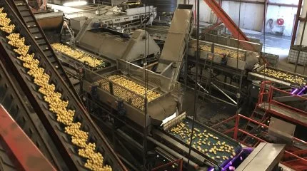 Foto: Thorsens Chipskartofler A/S