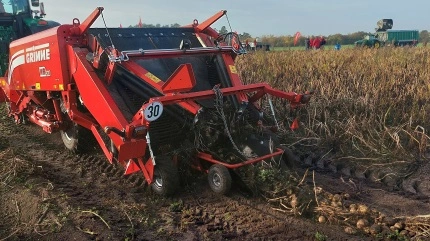 Det er særligt fremgangen hos danske kartoffelavlere, der kommer Grimme Skandinavien til gode. Arkivfoto: John Ankersen