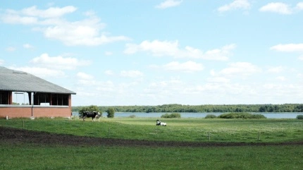 Tange Sø er en kunstig sø, der ligger mellem Ans og Bjerringbro. Arkivfoto: John Ankersen