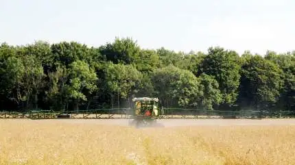 Fire EU-lande - herunder Frankrig - har netop afsluttet meget omfattende faglige undersøgelser af glyphosat i forberedelsen af en revurdering af glyphosat i EU i 2022. Konklusionen er, at den nuværende godkendelse er fagligt i orden og ikke kræver nogen ændringer. Arkivfoto
