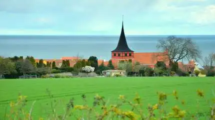 - Den kvælstofmålbelastning, som i vandområdeplanen i høringen er fastlagt for Bornholm, er væsentlig større end den naturlige baggrundsbelastning, som i dag måles fra områder med lille menneskelig aktivitet, skriver Miljøstyrelsen i sit svar. Foto: Colourbox