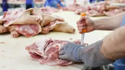 - Kollegerne var i chok. Vi har godt kunnet se, at vi har haft for lidt at lave i forhold til den bemanding, der er, men der var ikke nogen, som havde troet, at det ville blive så voldsomt, som det er blevet, fortæller Jens Erik Hansen, der er tillidsmand på Danish Crowns slagteri i Sæby. Arkivfoto