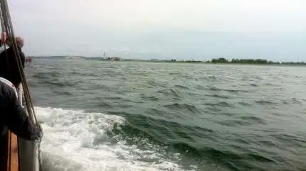 Viborg-, Ringkøbing-Skjern-, Varde- og Odense Kommune skal nu undersøge, om der er andre metoder til at opnå god økologisk tilstand i hav og fjorde end at begrænse kvælstofudledningen fra land. Her er det Odense Fjord. Arkivfoto: Jacob Lund-Larsen