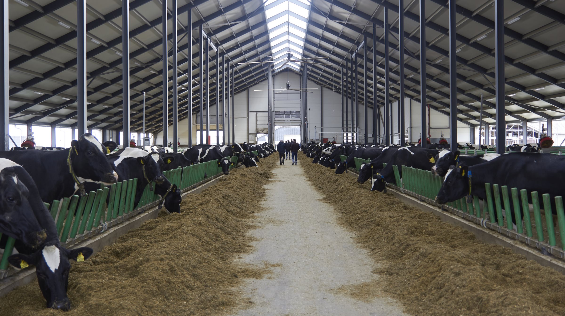 »Metan-renser«: Kan blive fast inventar i stalde