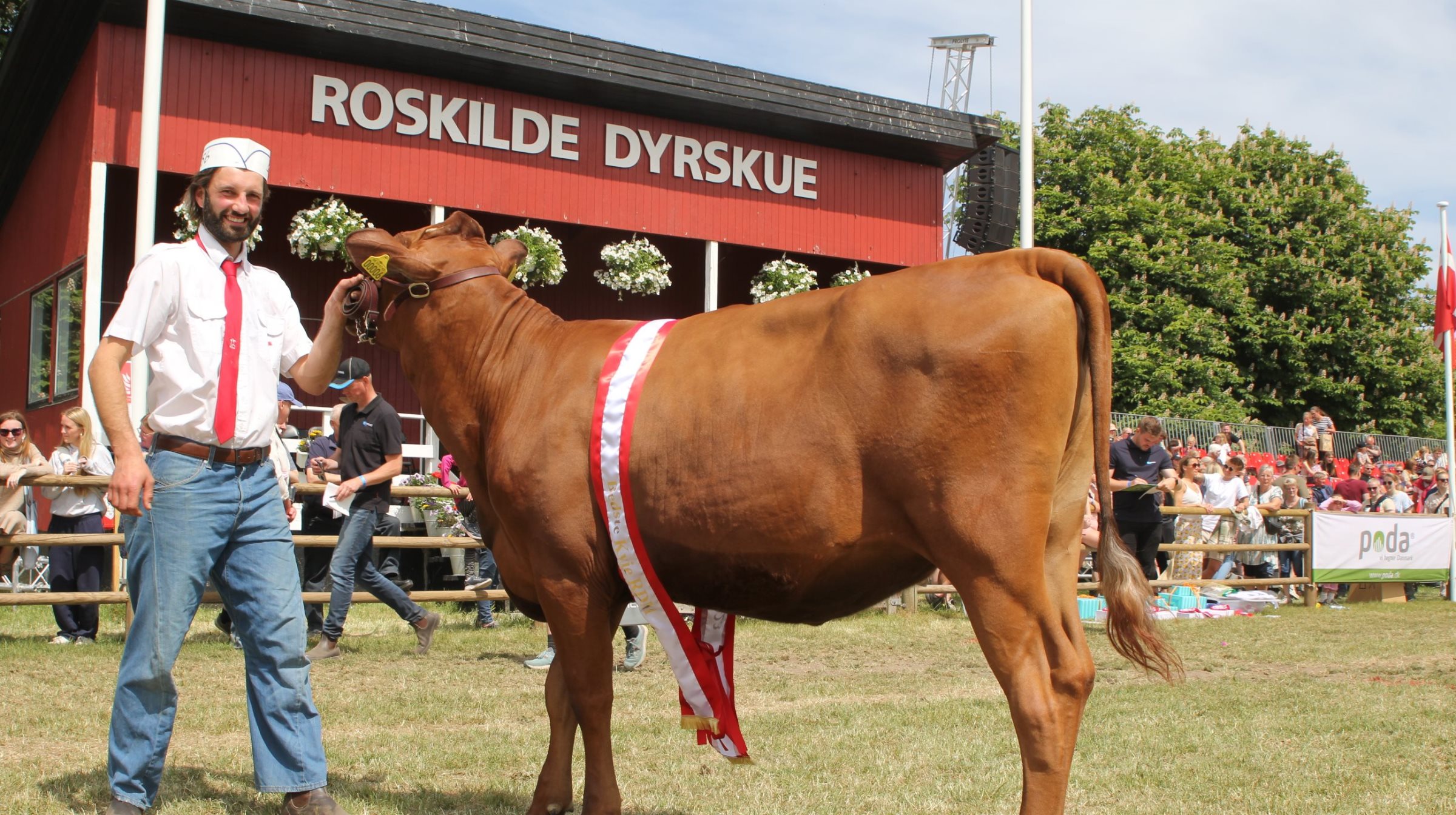 Dyrskuer 2024