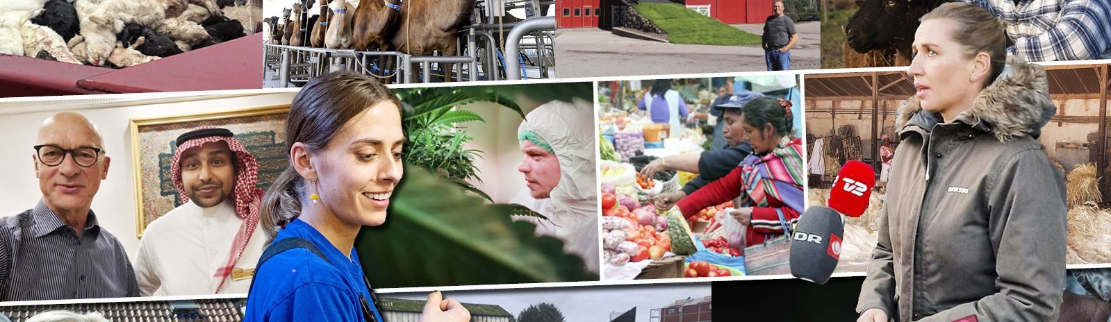 Alle emner fra Effektivt Landbrug – dyk ned i landbrugets vigtigste temaer