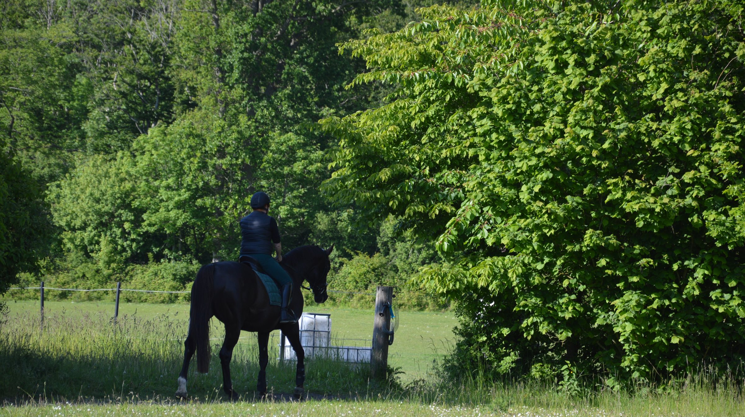 Bliv ét med naturen på Danmarks rideruter