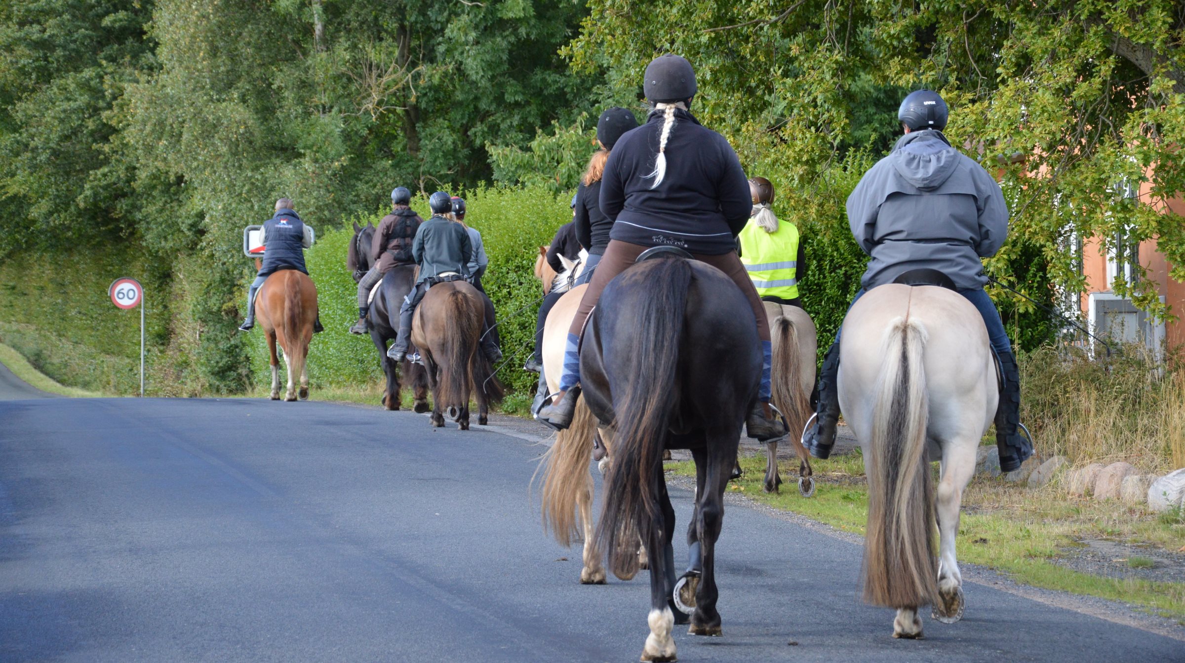 Der er adskillige rideruter i Danmark: Se hvor du må ride
