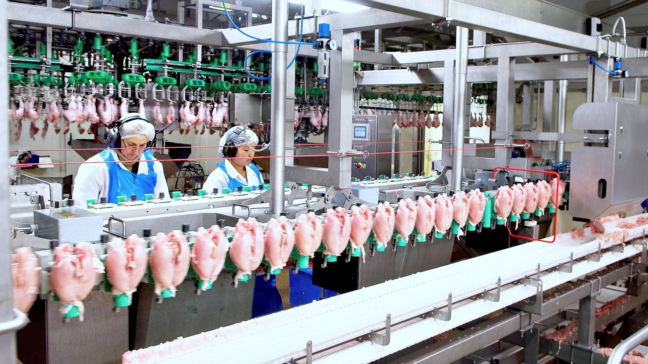 Fra krise til comeback: Rose Poultry løfter resultatet med 158 mio.
