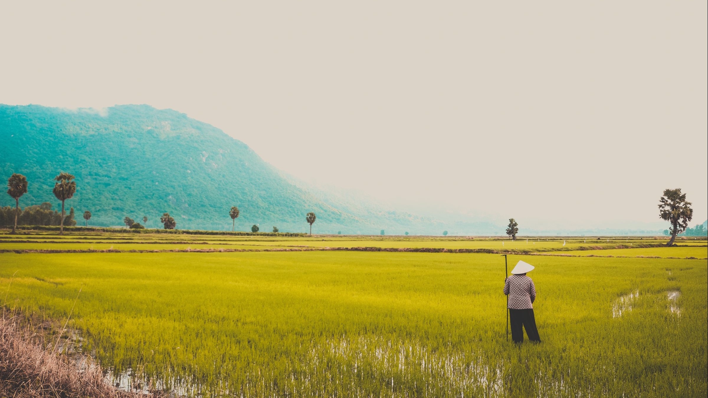 Global Farming