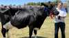 Bedste Dansk Holstein og bedste yver: Lille Djernæs, Tvorup ved Thisted.