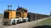 Nordzucker er ved at overtage Australiens næststørste sukkerkoncern, Mackay Sugar, i Queensland. Her transporteres de nyhøstede sukkerrør i Queensland via smalsporede tog til sukkerfabrikkerne.