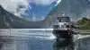 Vi skal ud at sejle i Milford Sound, som er en meget spektakulær oplevelse.