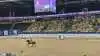 World Cup-stævnet i Herning blev det sidste internationale stævne for den 19-årige avlshingst Blue Hors Zack. Foto: Camilla Bønløkke