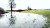 Landbrug & Fødevarer og Danmarks Naturfredningsforening foreslår at omlægge 100.000 hektar lavtliggende landbrugsarealer, m.v., til natur. Arkivfoto