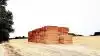 Internationale eksperter mødes i slutningen af juni i Foulum til konference om bioøkonomi. 