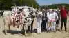 Sidste års bedste ældre Holstein-ko og Miss Hobro fra familien Nørgaard, Fårup. Arkivfoto: Tenna Bang