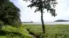 HedeDanmark samler jyske afdelinger.