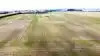 Dronefoto af Hvede 2,0 demo-marken på Mariesminde Landbrug sidste år den 10. april. Det er sorten KWS Lili til venstre og sorten Vibog til højre i marken. Bemærk en forskel på vækststarten fra sidste år og til i år – og dette foto er endda taget en måned længere fremme end nu. Arkivfoto