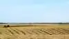 Der blev taget hul på høst af skårlagt raps især på Vestsjælland og Lolland/Falster i weekenden, fortæller markedschef Thomas Birger Jensen, Danish Agro. Enkelte steder blev der også høstet raps direkte. Arkivfoto