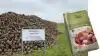 Fra 1. maj vil Østdansk Landboforening og Økologirådgivning Danmark bistå Nordic Sugar med den faglige rådgivning i forbindelse med dyrkning af økologiske sukkerroer. Foto: Nordic Sugar